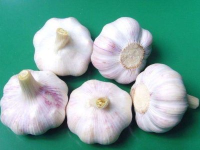 鑫华胜介绍3种常见的饲料添加剂