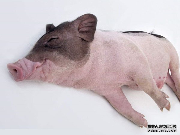 甘露寡糖在仔猪哺养上的应用 